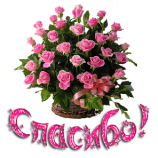 спс_корзинка_роз_1