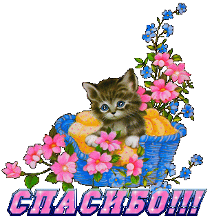 корзинка-котенок_спс