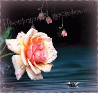 Хорошего настроения