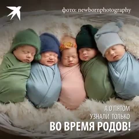 4с_и_лапочка