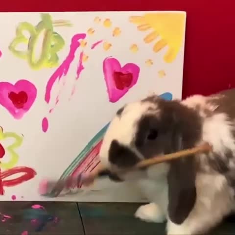 bunniesfeatures-___CC6G7OjBtHj___-