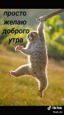 Пора_вставать