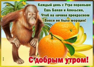 1a7386ace6a6f3ac893f40c8befe774e