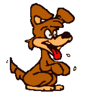 dog_1049