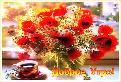 Доброе утро