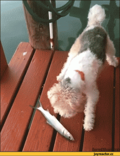 b7872037eac4d6e53549d832d8e31efb