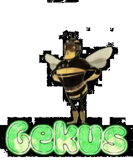 Гифка_с_Gifius_