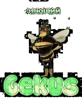 Гифка_с_Gifius__1