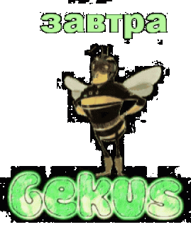 Гифка_с_Gifius_