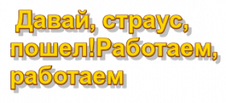 868160084