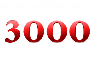 3000