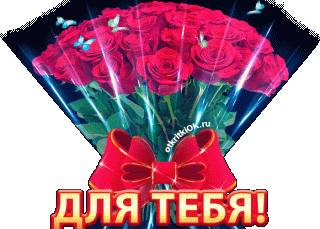 Цветы24
