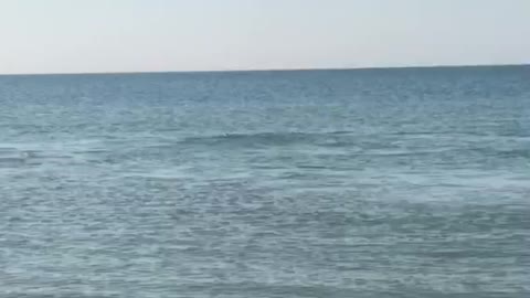 video-2b29c799fafd813614955f6996604c57-V