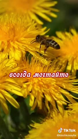 -20200801Доброе_утро
