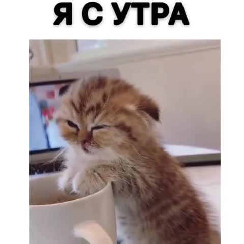 video640f4d5aeb0cc45b15db0241cd86ce7e-V