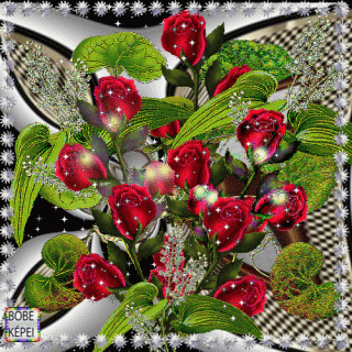 41a82ba4e3f3bbd0fbfb4b342ad30753