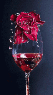 fb52a88e2cb417eda5509883b4b5b058