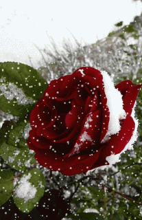 9a857049ef09b38e36597dd96ad1b2a5