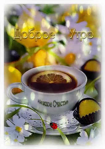 Нежное утро