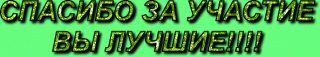 Foiz__text_1
