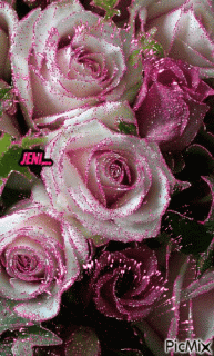 0a4b4983e0108ce69973ec215c55da12