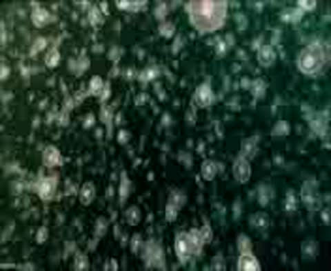 4K_Muzyka_Krasivyj_OKEAN_SHikarnaya_Muzyka_MosCatalogue-