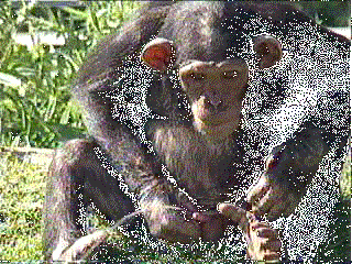 90813848_c3bbdc165225