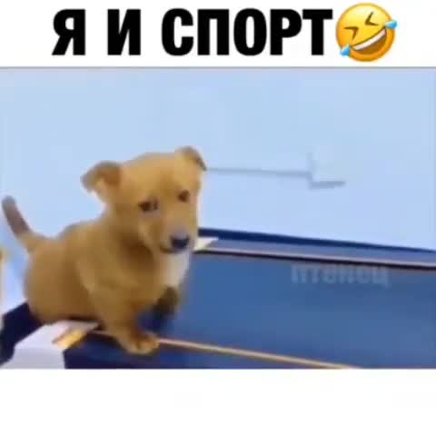 vse_muzhiki_boom-___CDg56zwjBGD___-