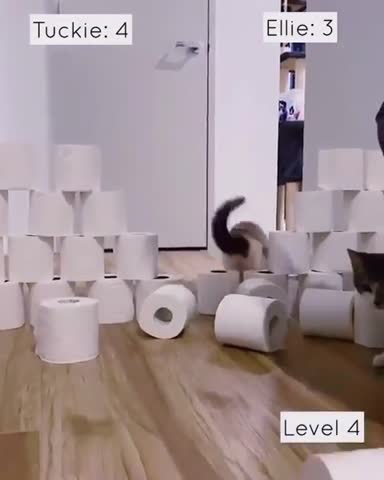 animalsbyworld-___CDlejSUoI30___-