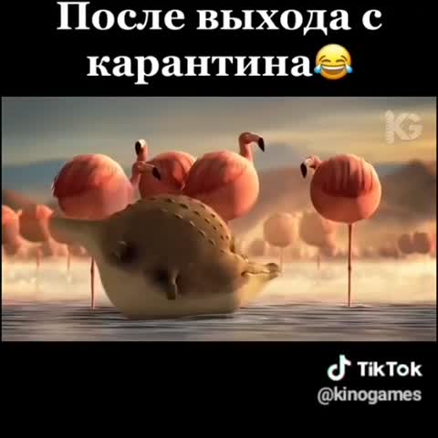 vse_muzhiki_boom-___CDji2Rbouu4___-