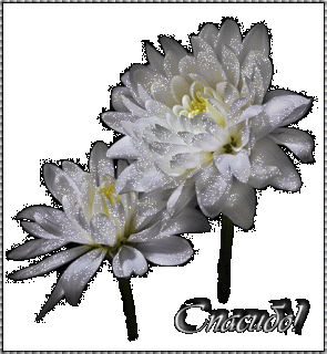 otkrytki-i-kartinki-mercaushhie-animacionnye-blestyashhie-gif-spasibo-i-blagoda-7-2