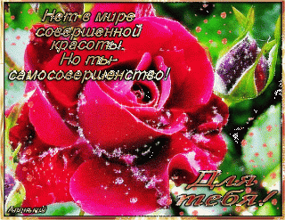 d4cd2395515561feb4231218eb936903