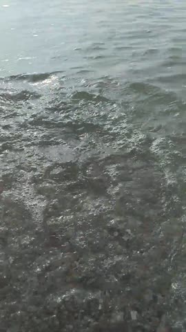 VID_20200811_083350