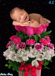 9888a720262ea19b2e819618747d23e5