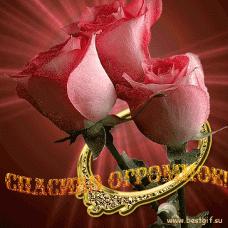 Спасибоогромное