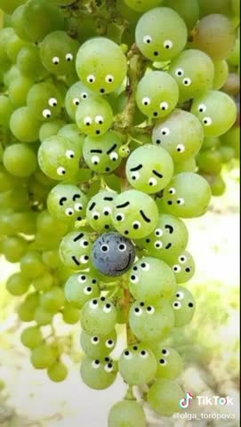 video-e23f10c8a8cb7cc70dfe38e50394832b-V