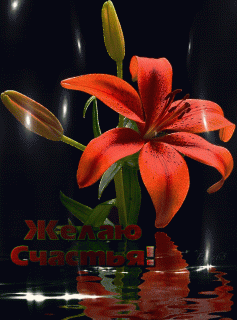 Краснаялилия