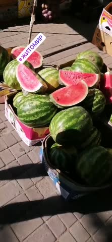 y_frytsak22-20200809-0001