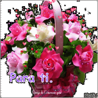 a4d91600a3a143bf1d552190ab8b6b84