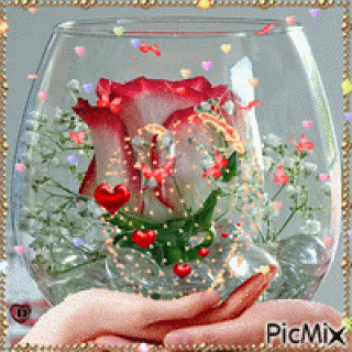 a0e19c8b1bf5e244729739e1482f795e