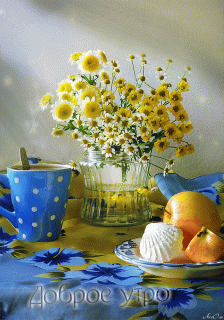 Добутроромашки