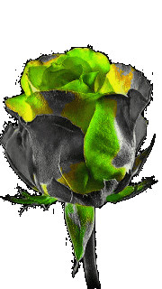 2ba232de9f698942f057a51fc825c1eb