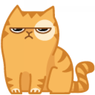 кот эй