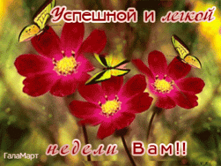 анимированная_открытка_успешной_и_легкой