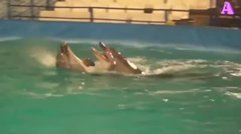 __TAKOJ_LAMBADY_VY_ESCHE_NE_VIDELI_amp_33__Band_ODESSA_-_Dancado_Lambada