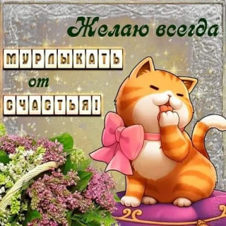 _smile_ua_-___CD_Vnc4jSCu___-