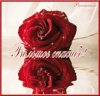 gifki-bolshoe-spasibo-11