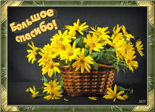 gifki-bolshoe-spasibo-7