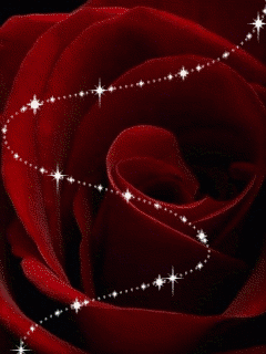 722bde82904c7abbb79a4b673cf09440