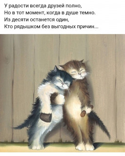 moimir_j-___CECOJZHDxWe___-